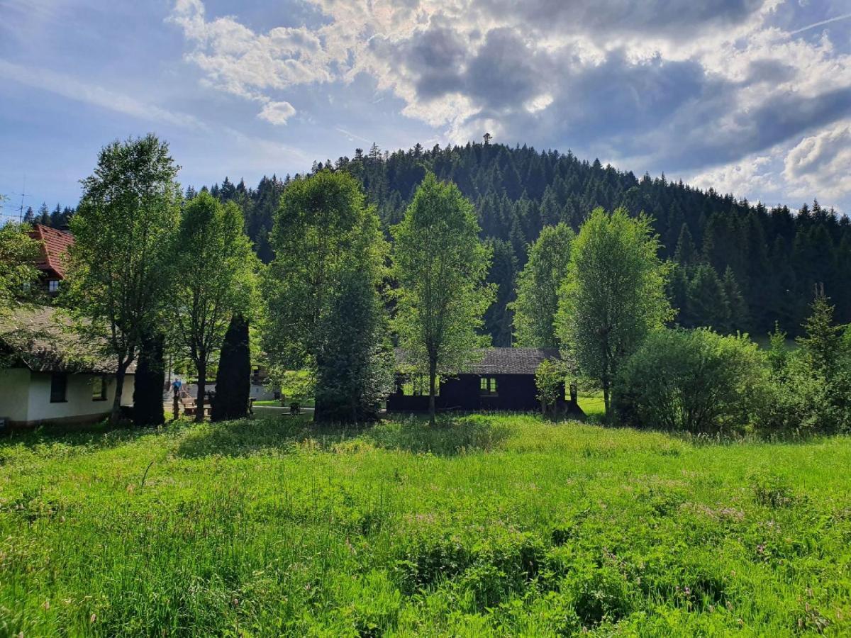 Finkenhof Hotell Schluchsee Exteriör bild