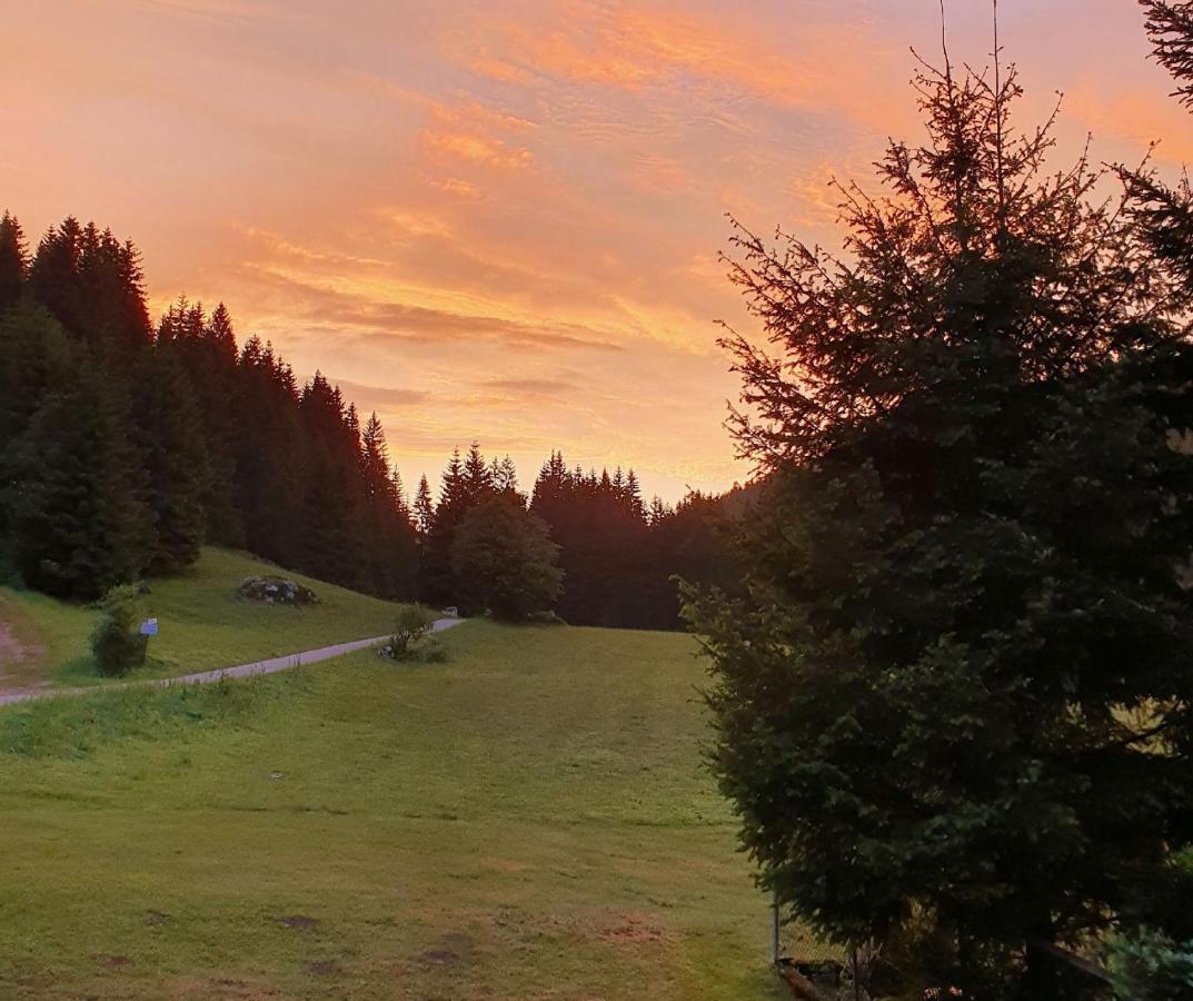 Finkenhof Hotell Schluchsee Exteriör bild